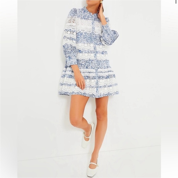 🤍HYACINTH HOUSE Lace Trim Blue Etched
Floral Emmie Mini Dress🩵 - Picture 5 of 11